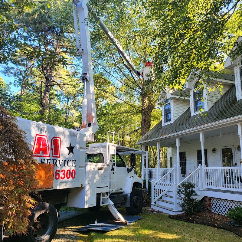 A1 Tree Services, photo 2