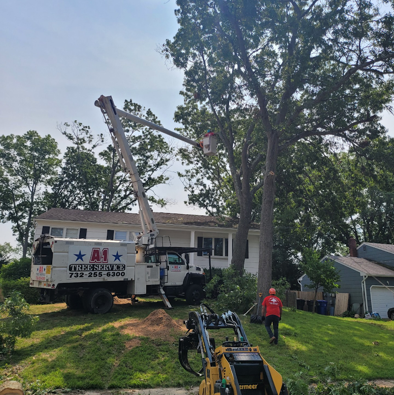 A1 Tree Services, photo 3