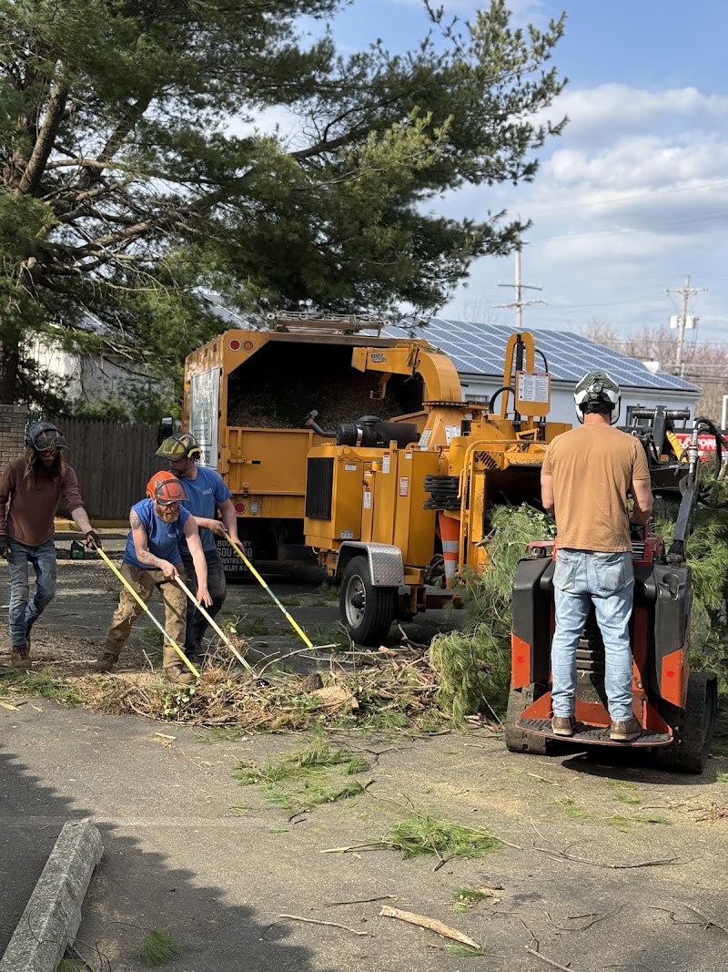 Arbor Rich Tree Service, photo 2