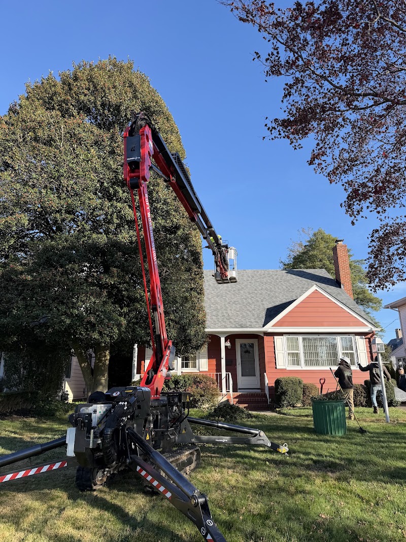 Arbor Rich Tree Service, photo 3