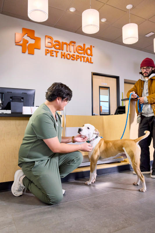 Banfield Pet Hospital, photo 2