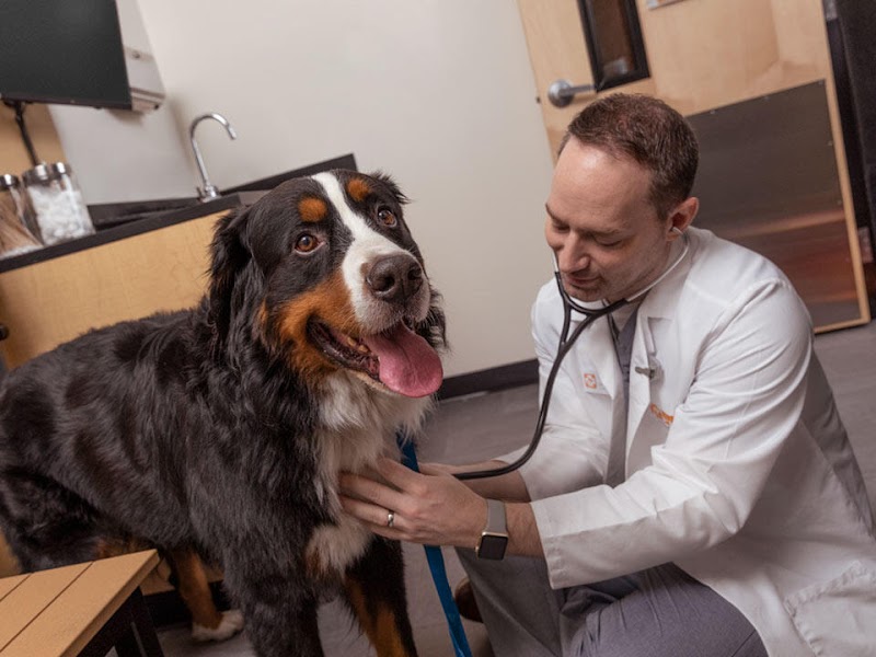 Banfield Pet Hospital, photo 3