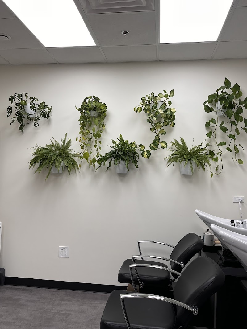 brick + mane hair studio, photo 2