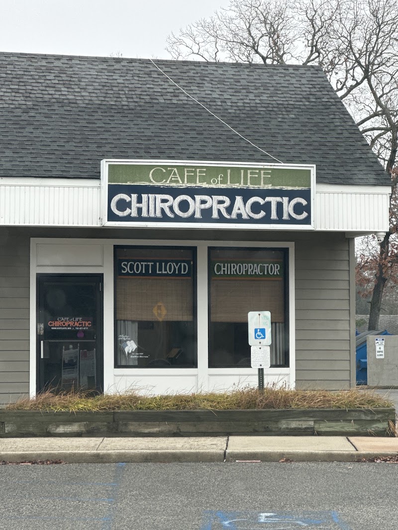 Cafe of Life Chiropractic - Scott J Lloyd DC CMT CCWP, photo 2