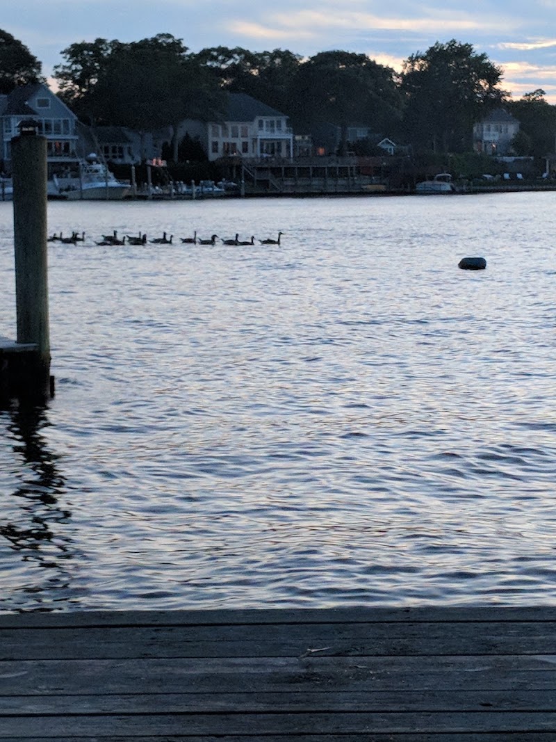 Cassidy's Breton Wood Marina, photo 2
