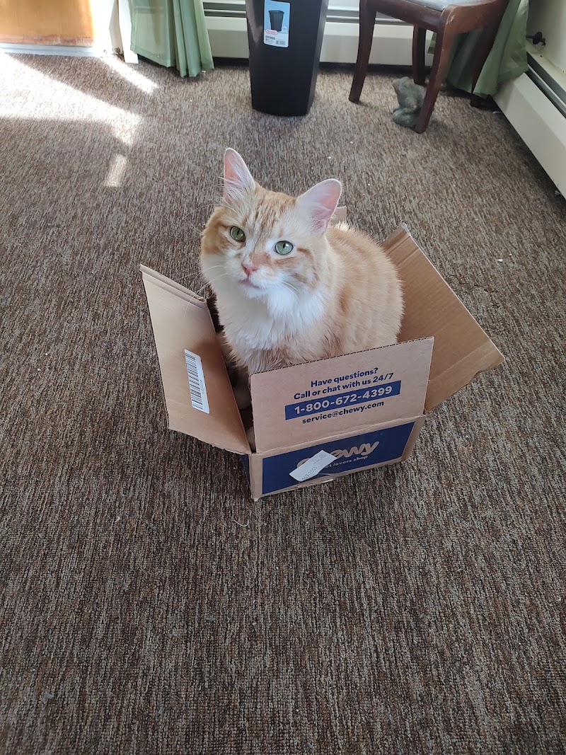 Cedars Veterinary Hospital, photo 3