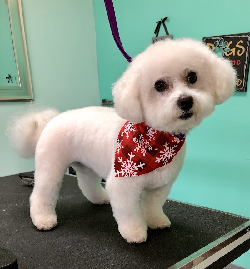 Doggie Treats Grooming, photo 2