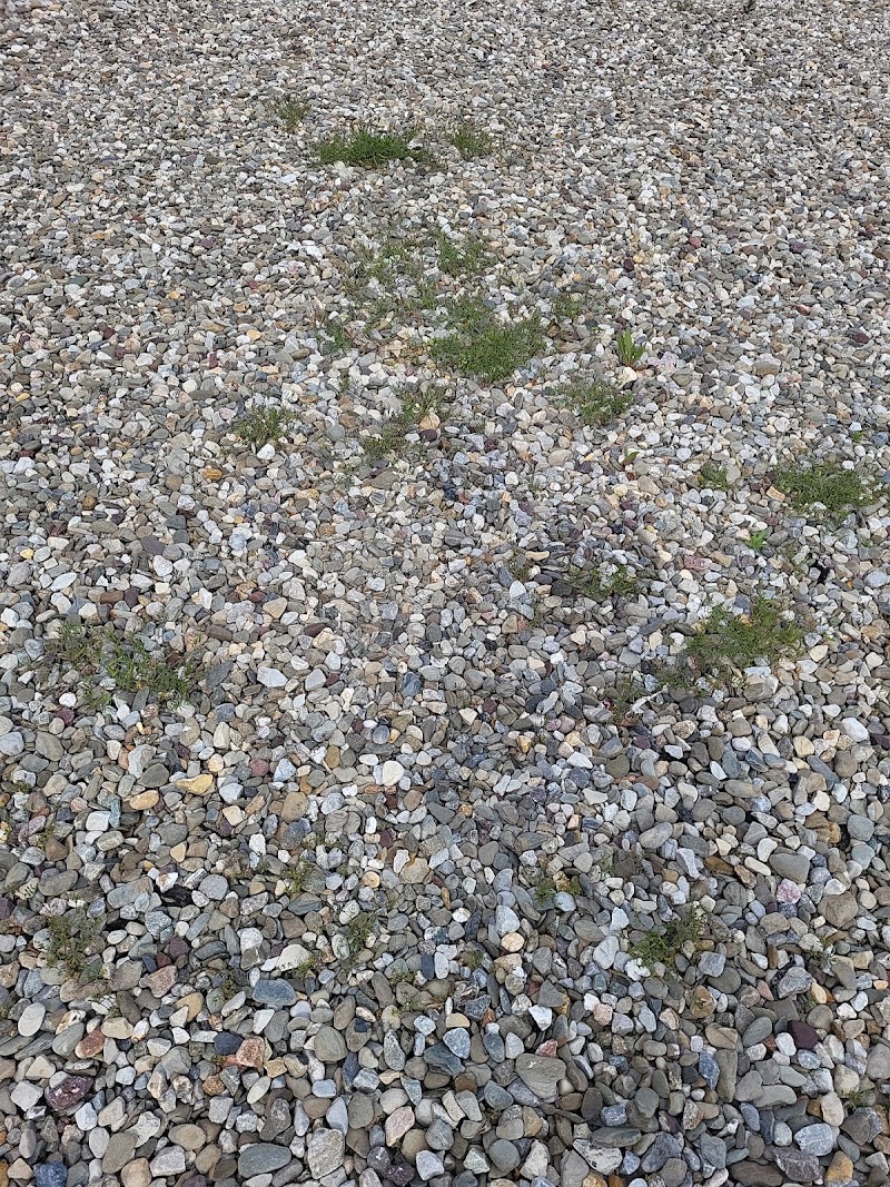 For Shore Weed Control, photo 3