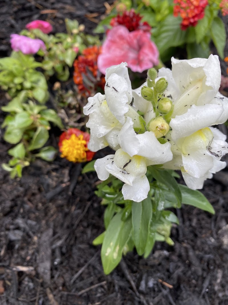 Garden Shoppe at Brick, photo 2