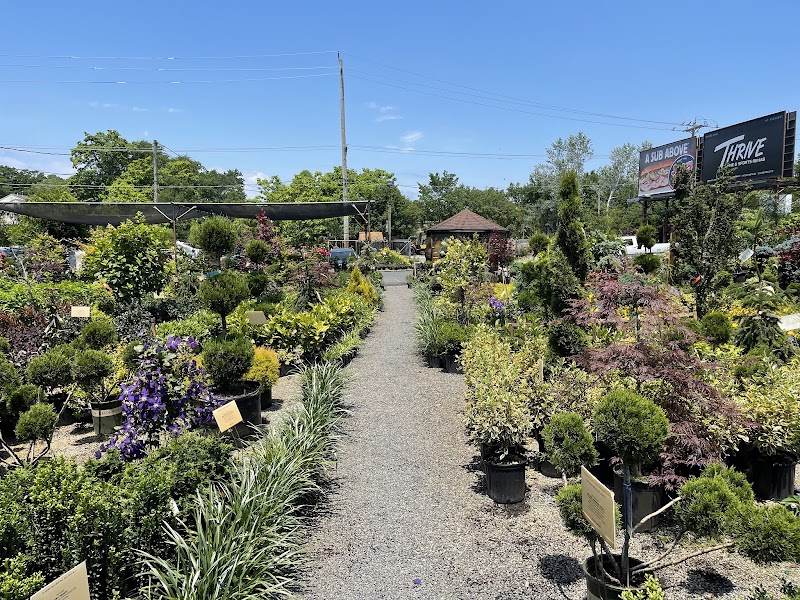 J's Garden Spot Inc, photo 2
