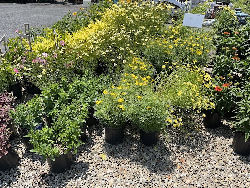 J's Garden Spot Inc, photo 3