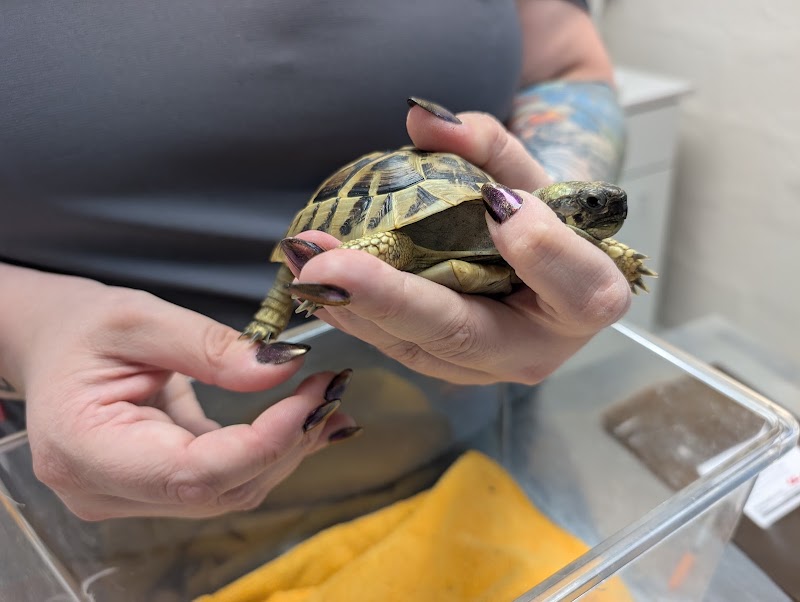 Nautilus Avian & Exotics Veterinary Specialists, photo 2