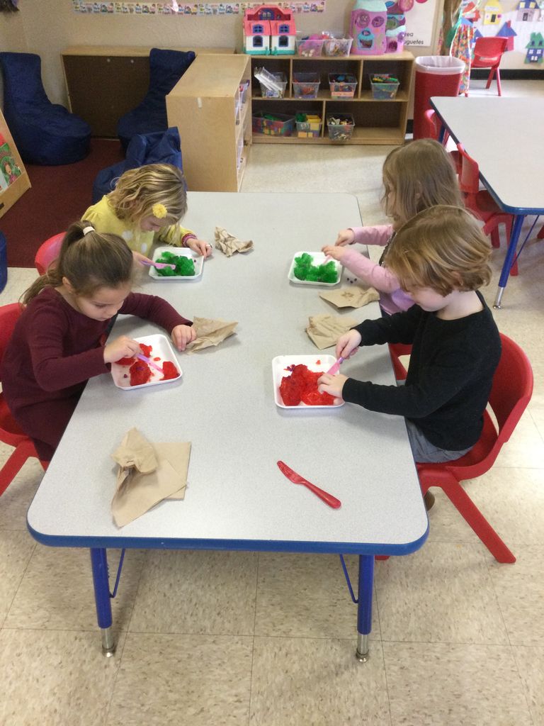 Ocean Early Childhood Center & Shore Summer Camp, photo 3