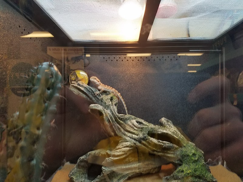 PetSmart, photo 3