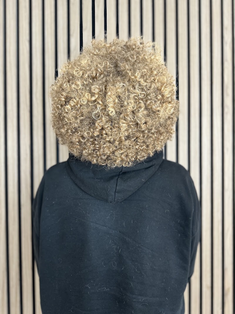 Rebel Mane, photo 2