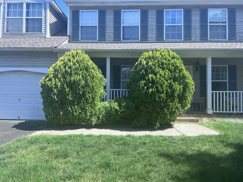 Shoreline Landscaping LLC, photo 2