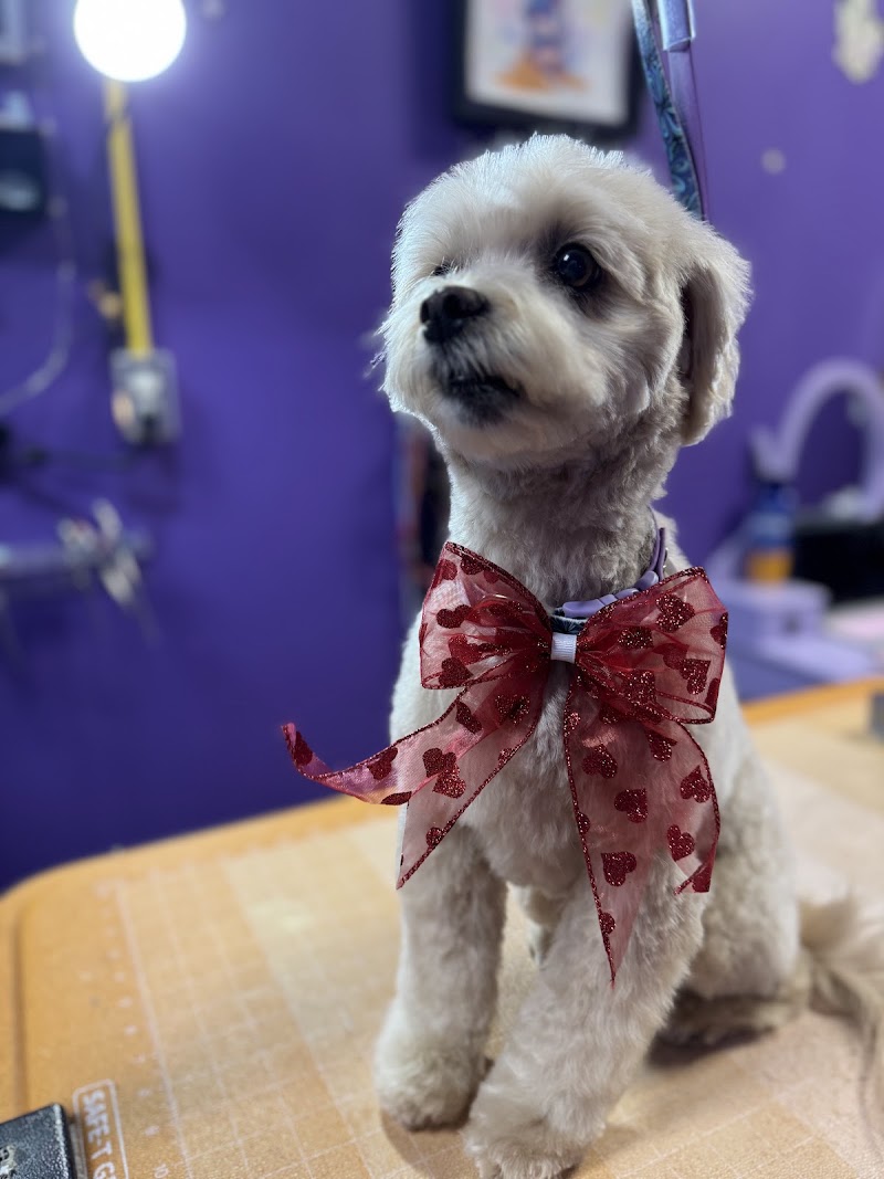 Spirit Animals Pet Salon & Reiki Studio : Brick NJ, photo 3