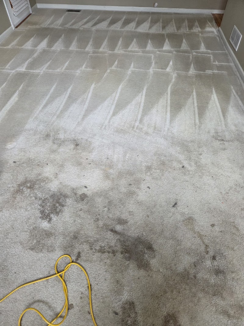 Tanias cleaning services and carpet cleaning LLC, photo 2