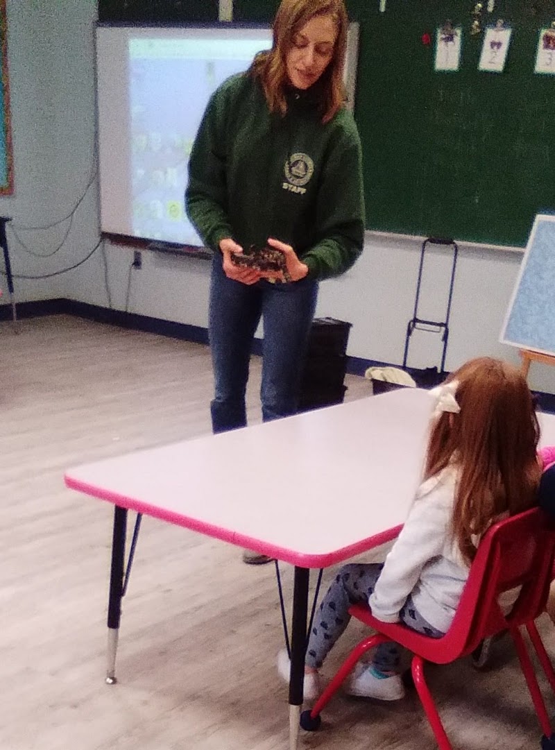 The Mustard Seed Preschool, photo 3