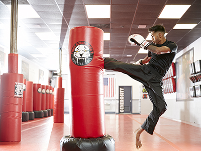 Tiger Schulmann's Martial Arts (Brick, NJ), photo 2