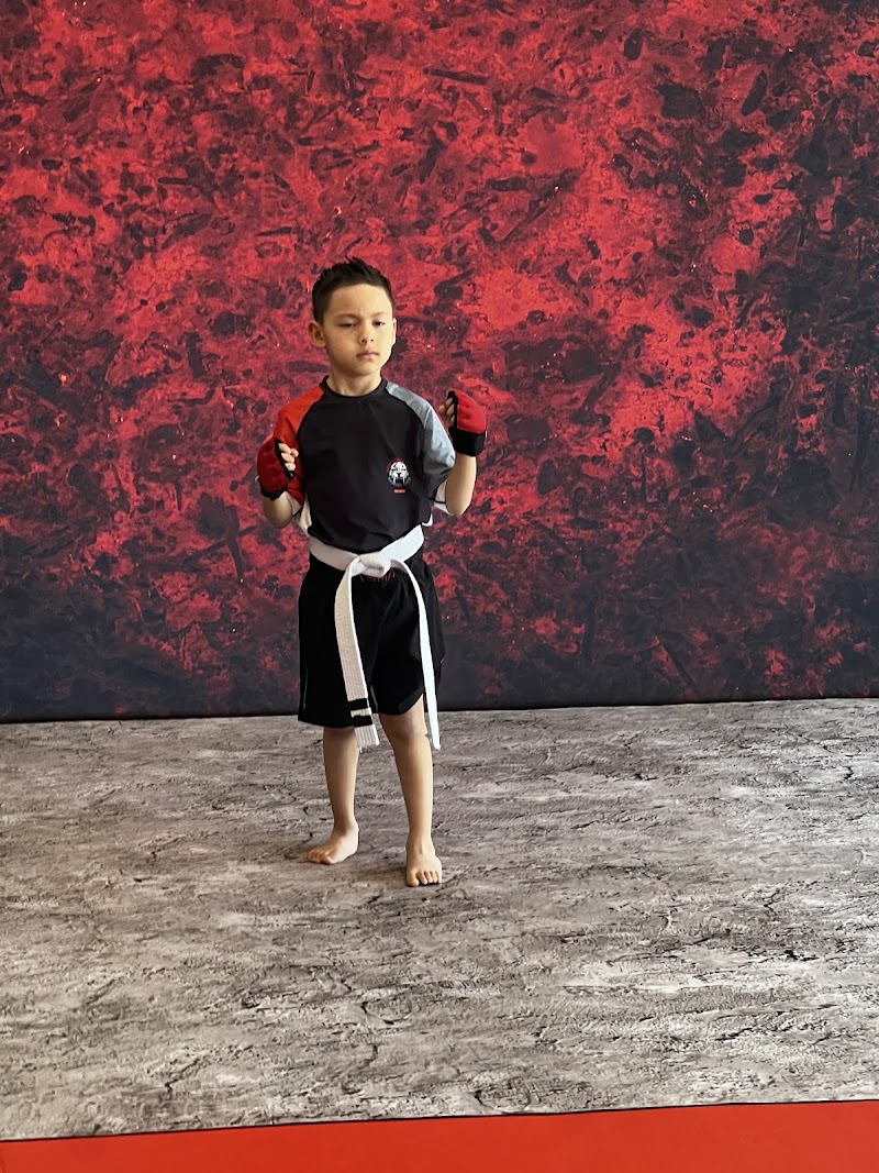 Tiger Schulmann's Martial Arts (Brick, NJ), photo 3
