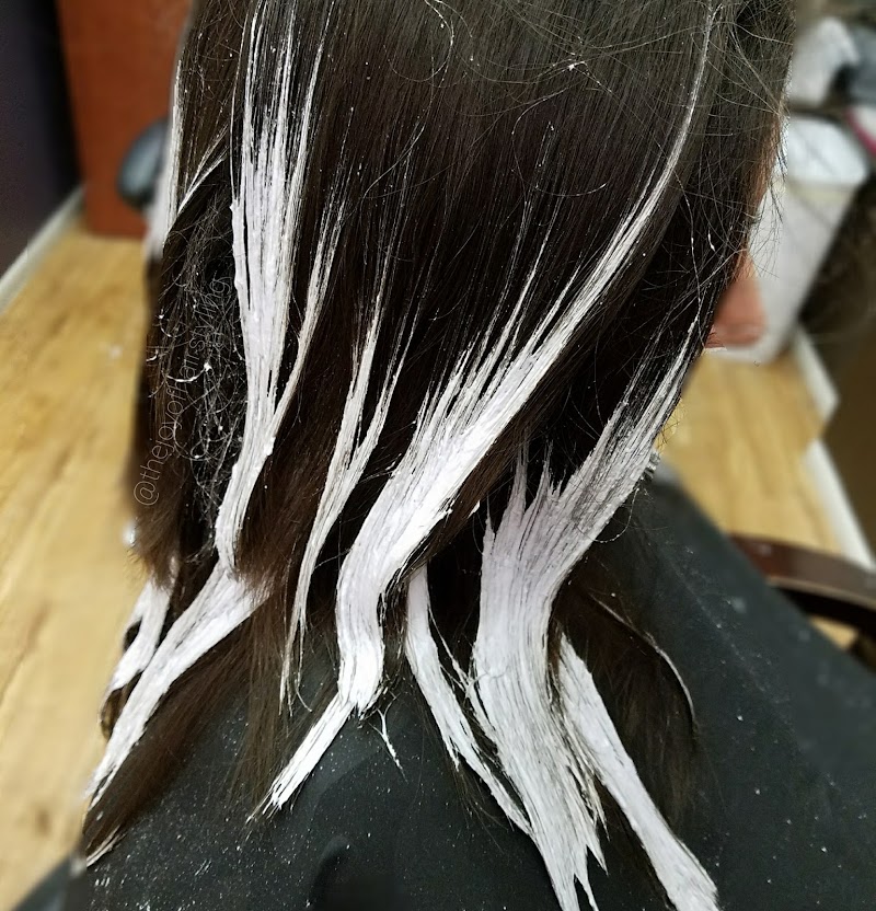 VIVE HAIR STUDIO, photo 2